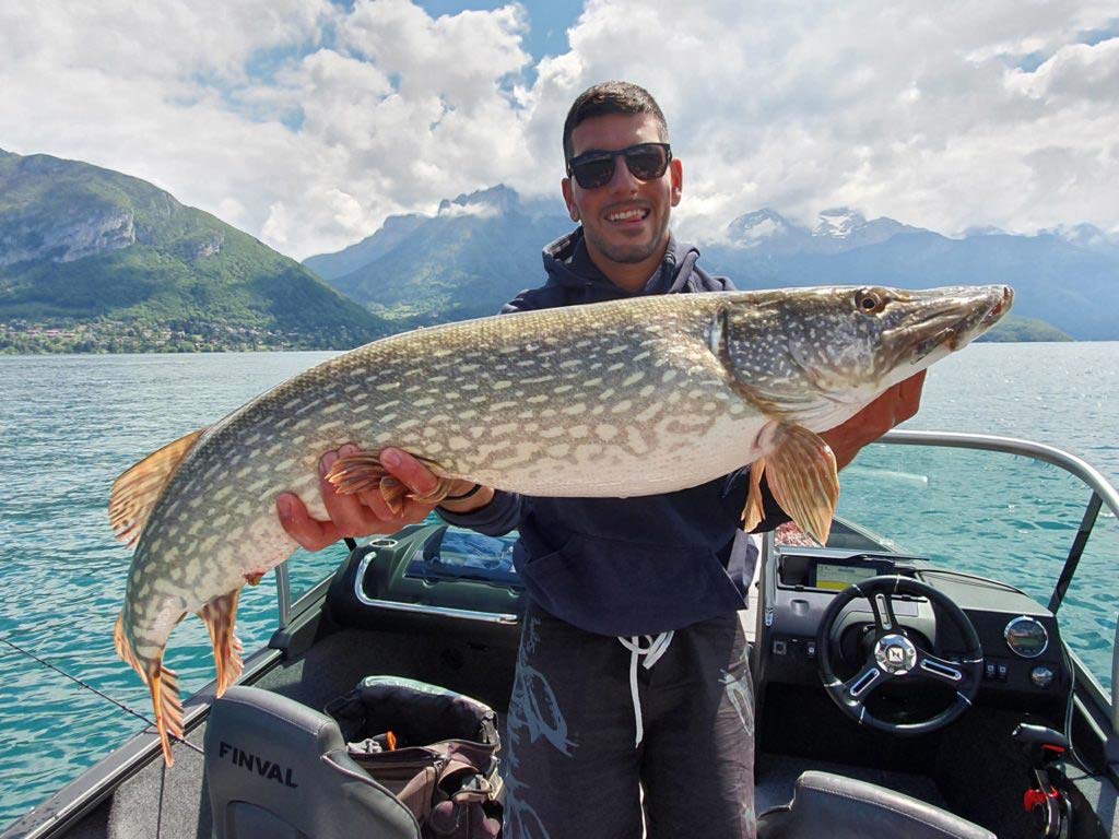 Prise d'un grand brochet au coucher du soleil sur le lac.
