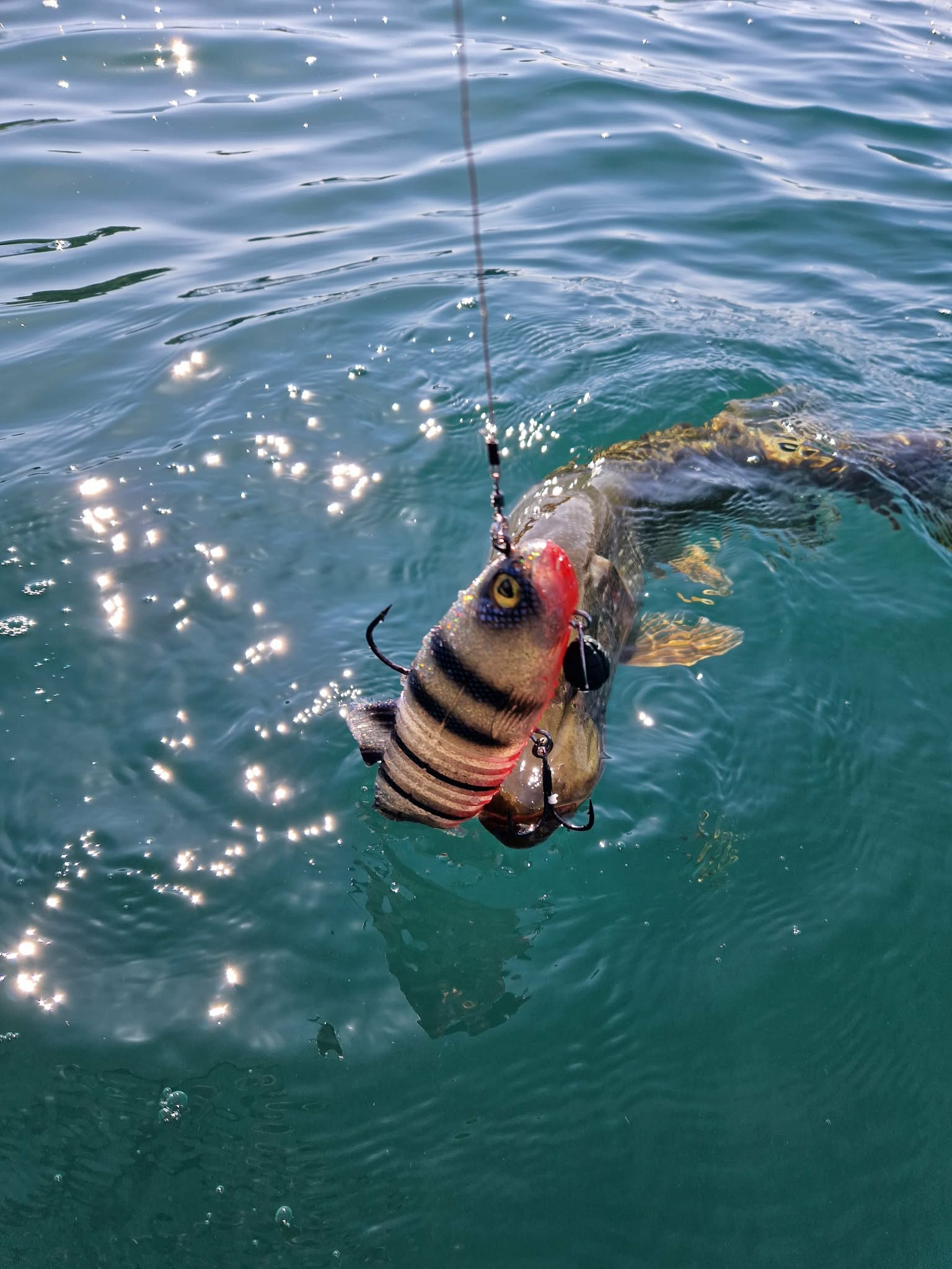 Leurres éditions limitées