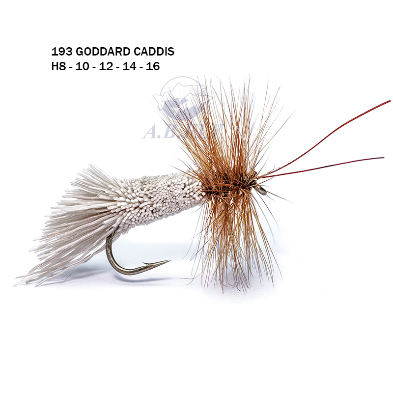 Goddard Caddis H16 - WHITE/BROWN (Blanc / Marron) - RAINY'S