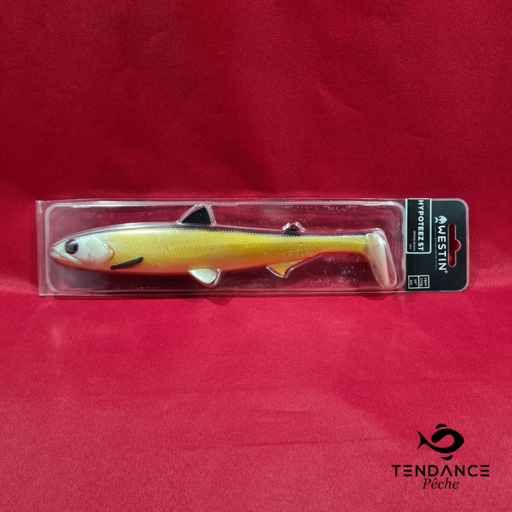 Hypoteez Shad 25Cm - Westin - Official Roach