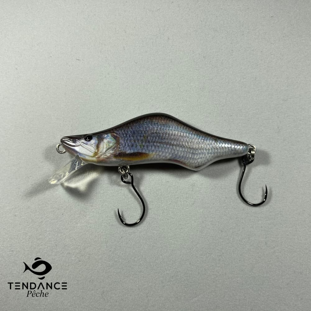 First Sp 68 - Sico - Gardon