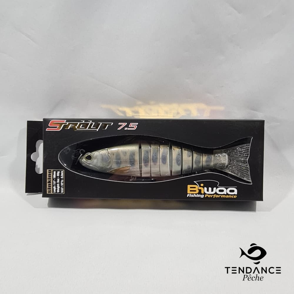 S'trout 7.5 - BIWAA