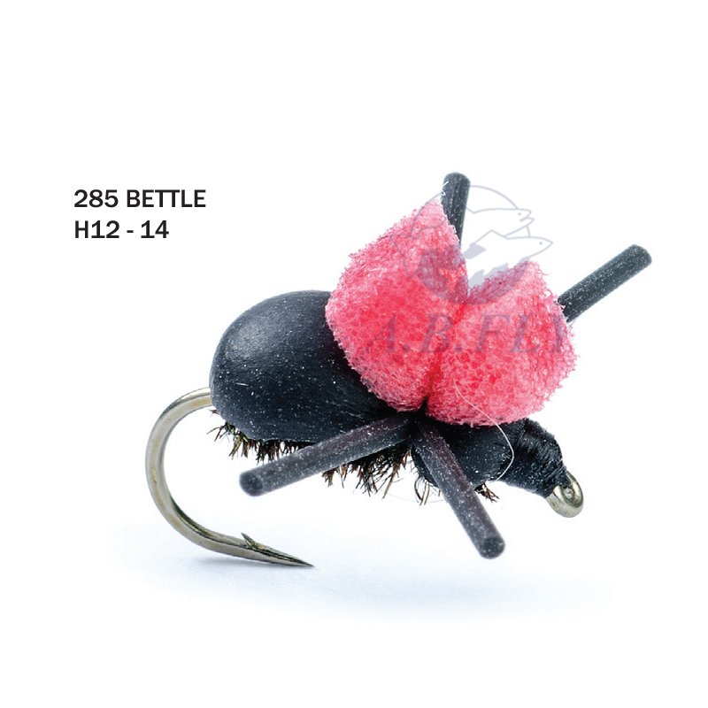 Beetle H12 - BLACK (Noir) - RAINY'S