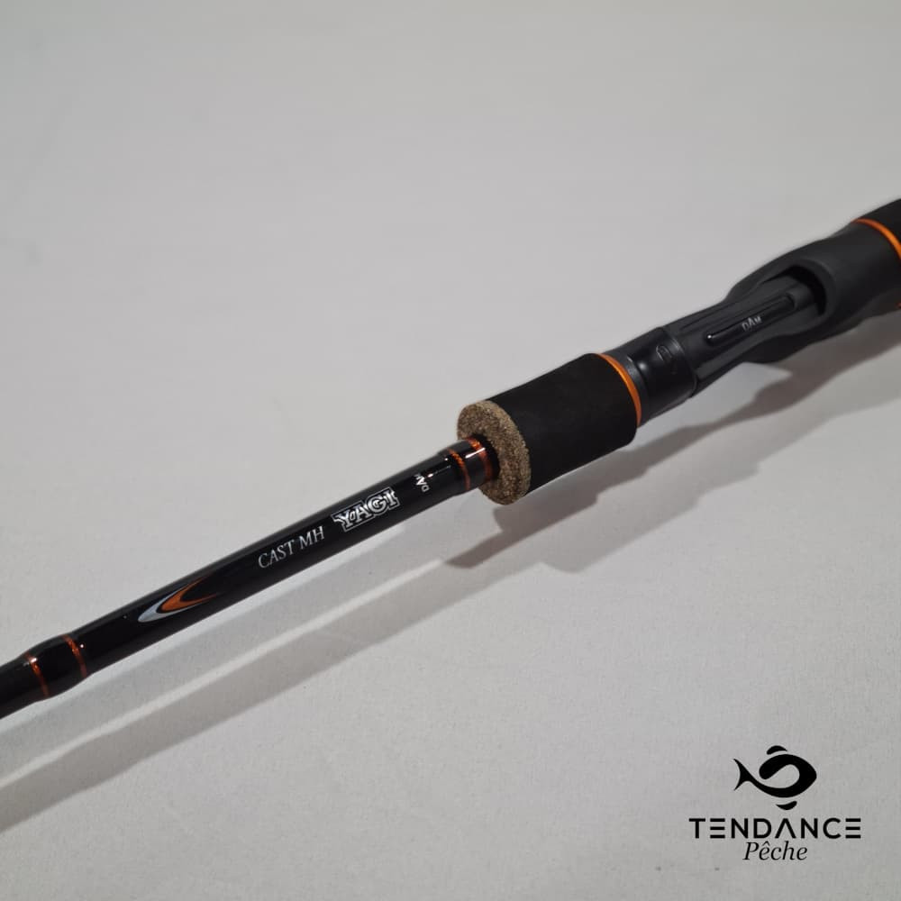 Canne Yagi Cast MH - DAM