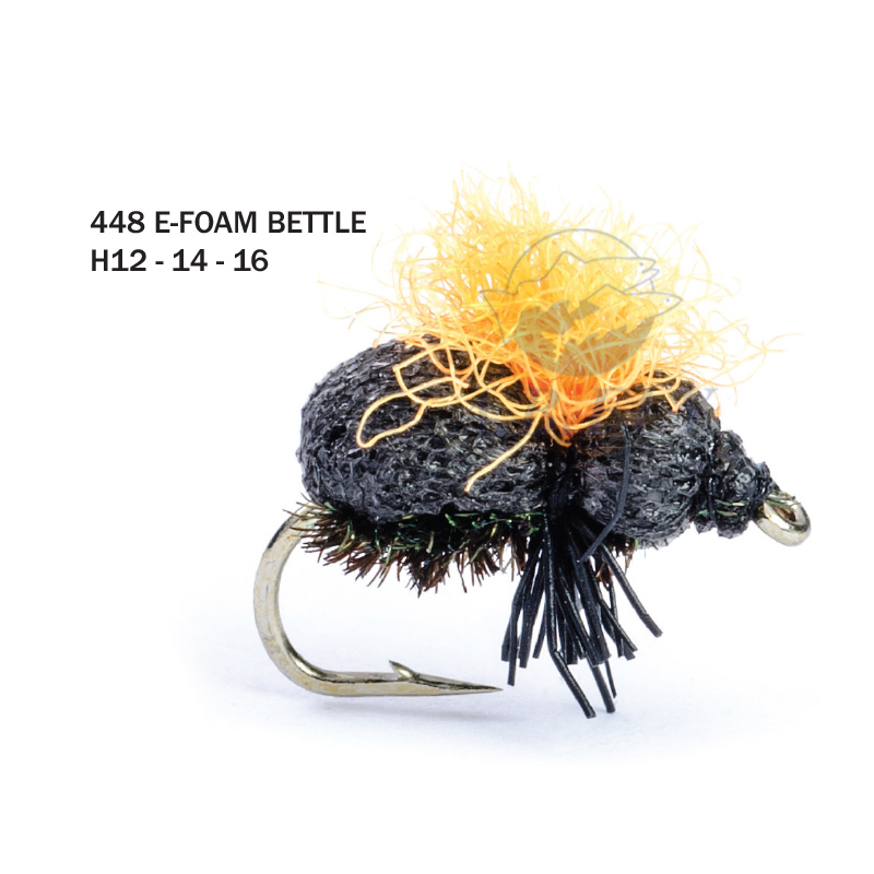 E-Foam Beetle H12 - BLACK (Noir) - RAINY'S