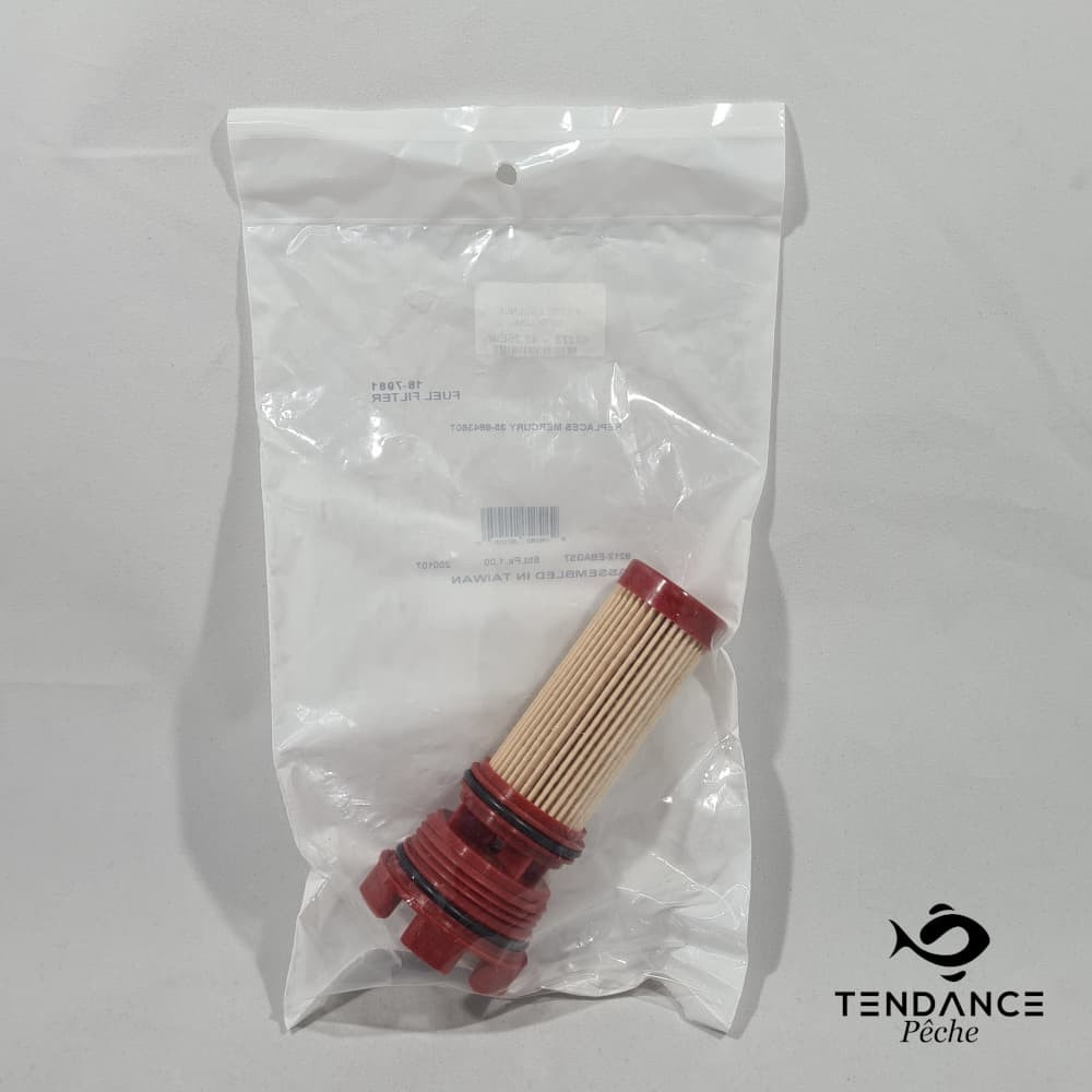 Filtre à essence pour moteurs Mercury - VDM
