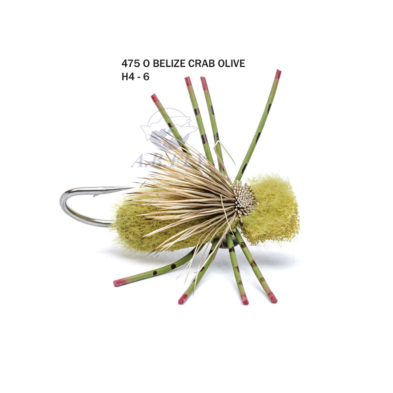 Belize Crab H4 - OLIVE (Olive) - RAINY'S
