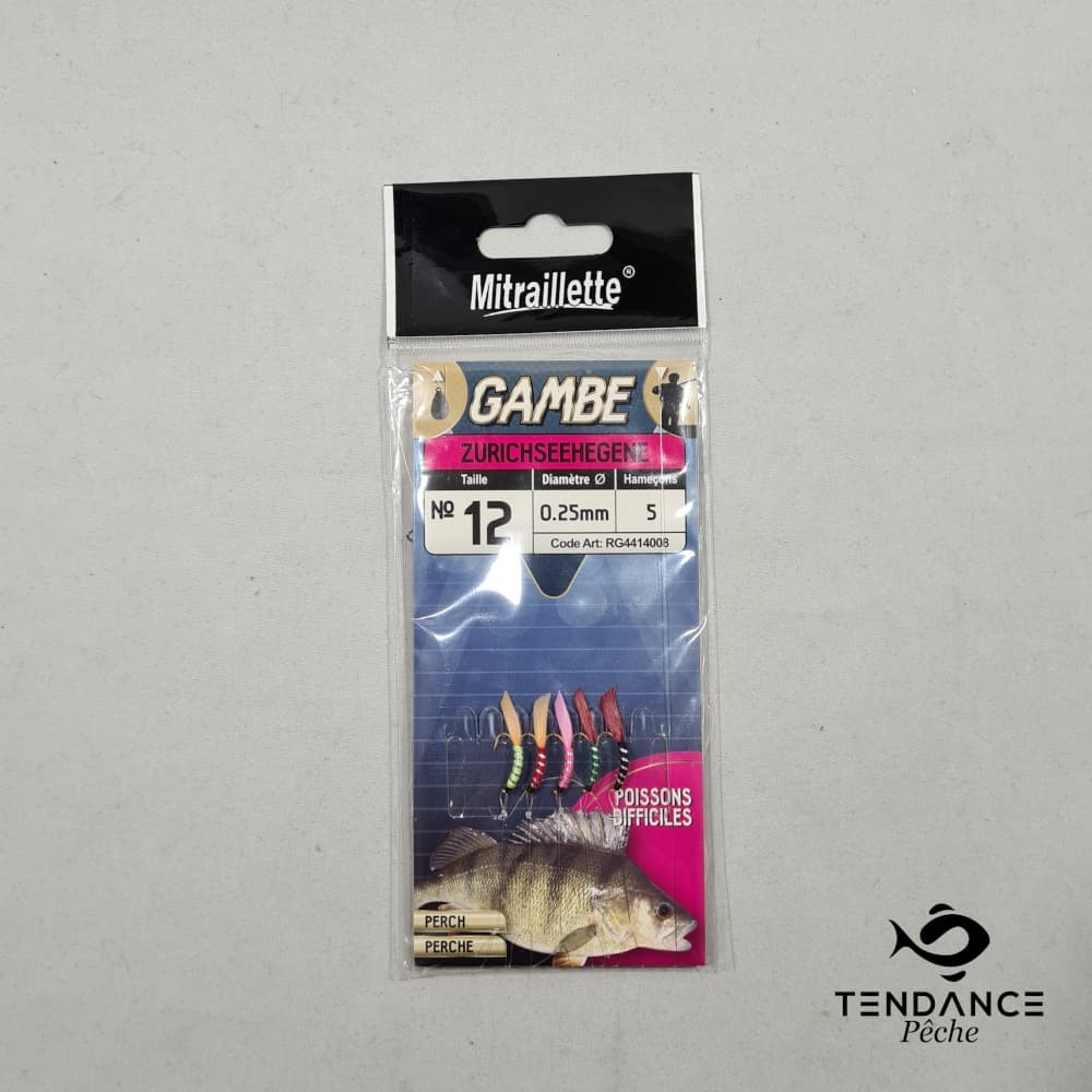 Gambe Zurichseehegene - RAGOT