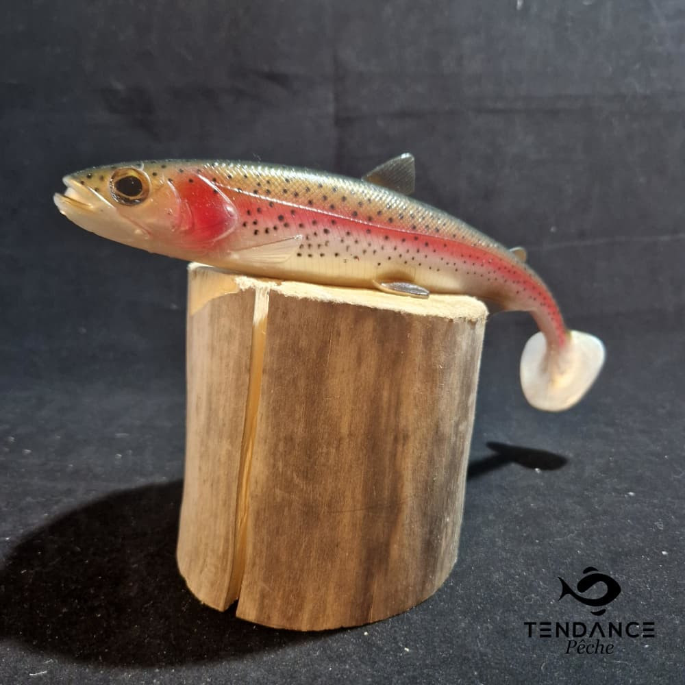 Hypoteez Shad 25Cm - Westin - Rainbow Trout 