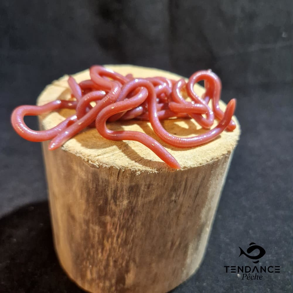 Mimizu Medium - Osp - #W050 Mimizu 