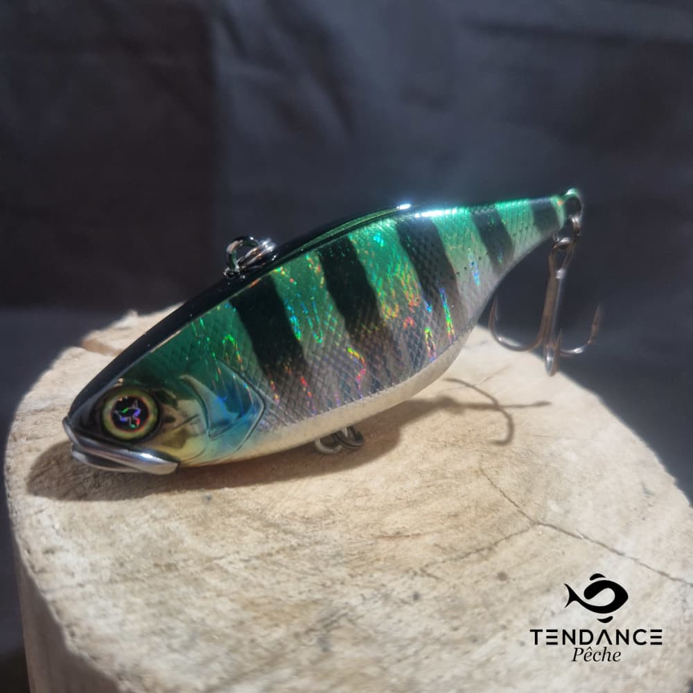 Tn80 - Illex - Sunfish