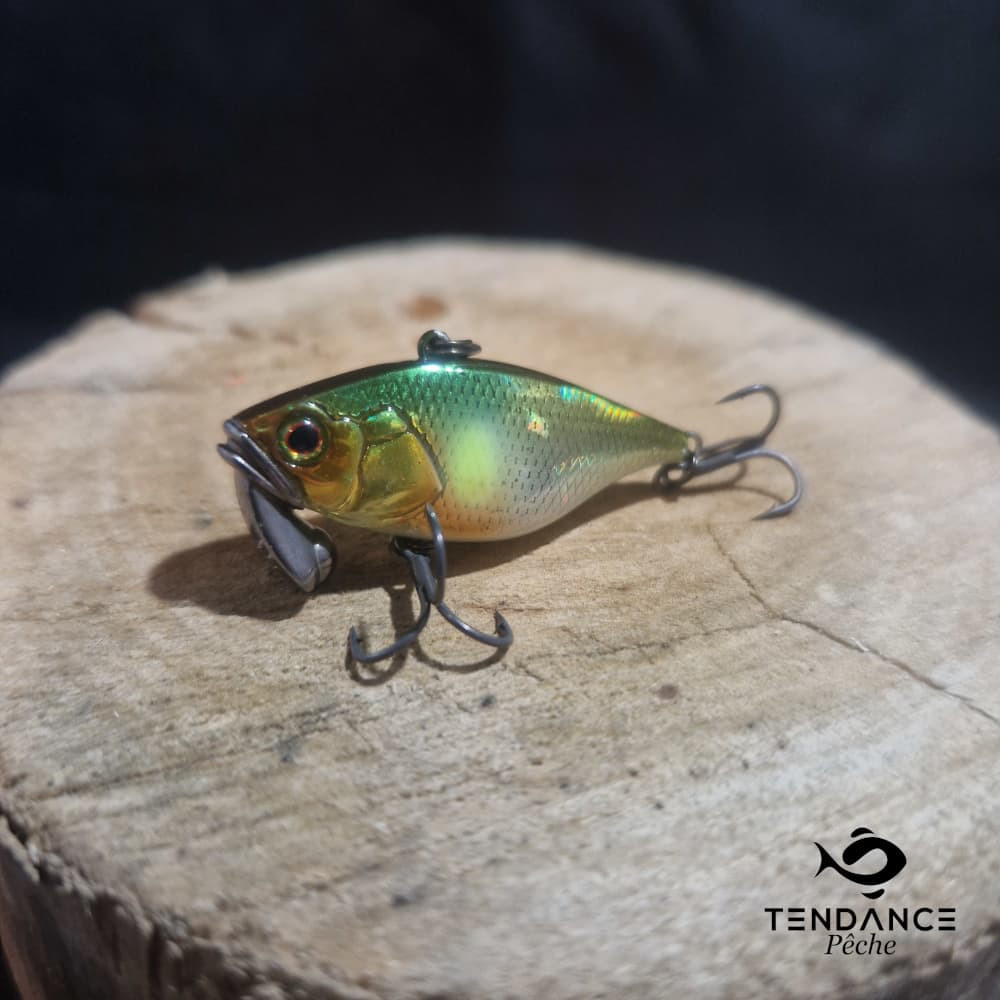 Tn38/ Trigon - Illex - Ayu