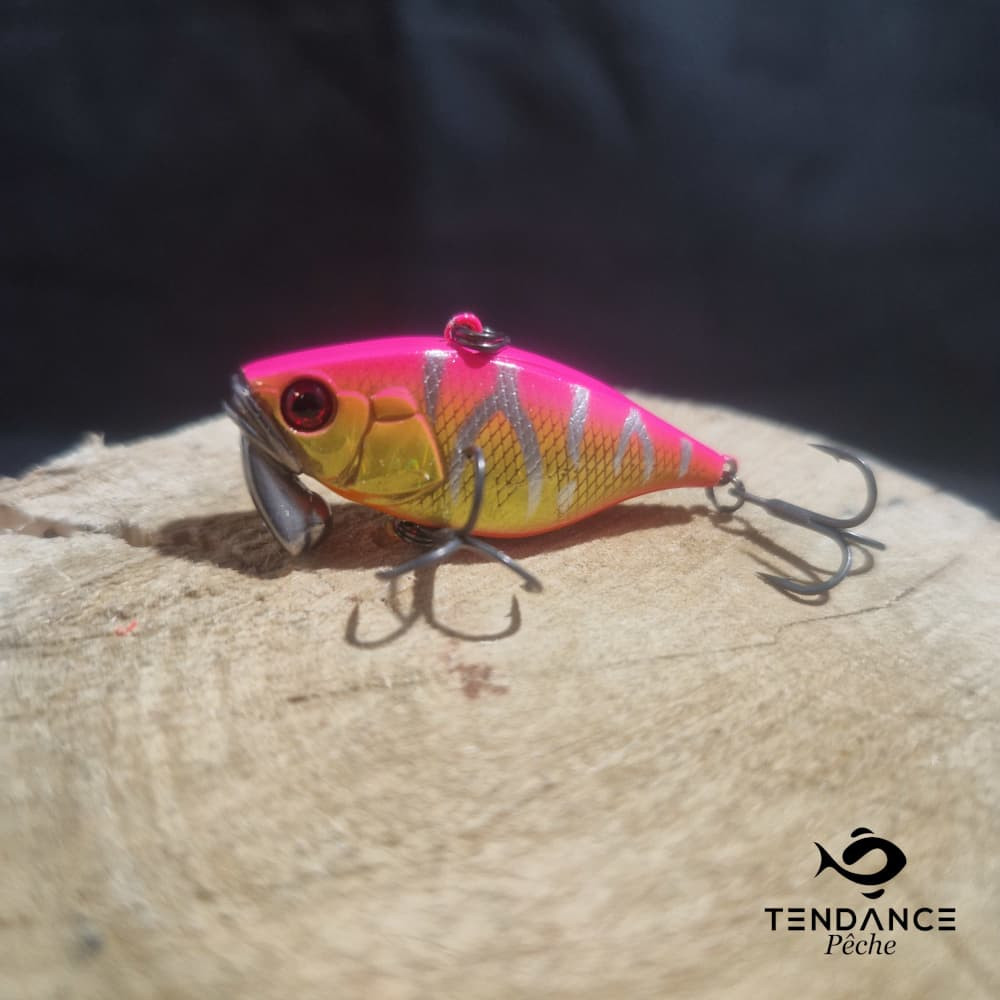 TN38/ TRIGON - ILLEX - MOMOTORA