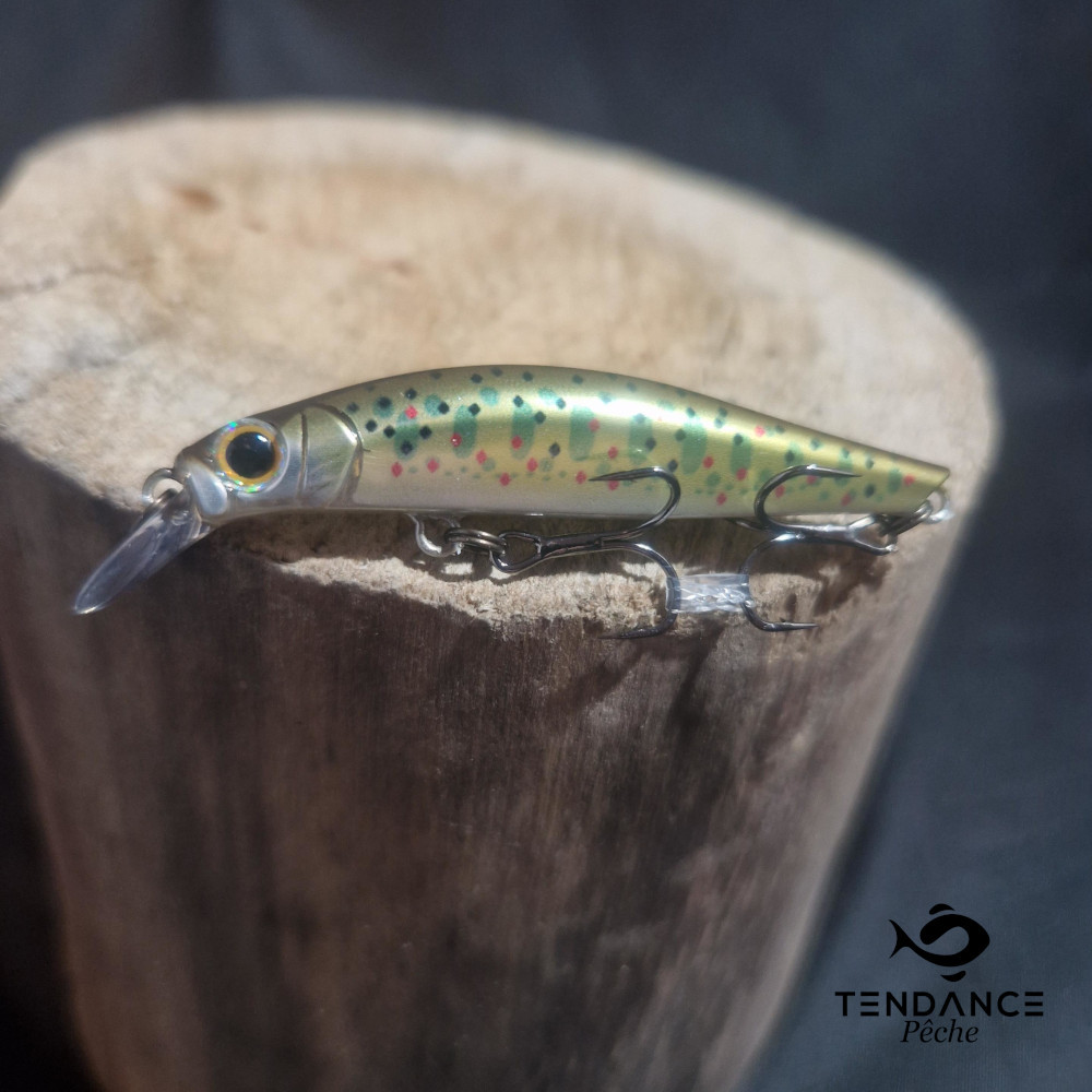 Artist F55 - Jackson - Fario