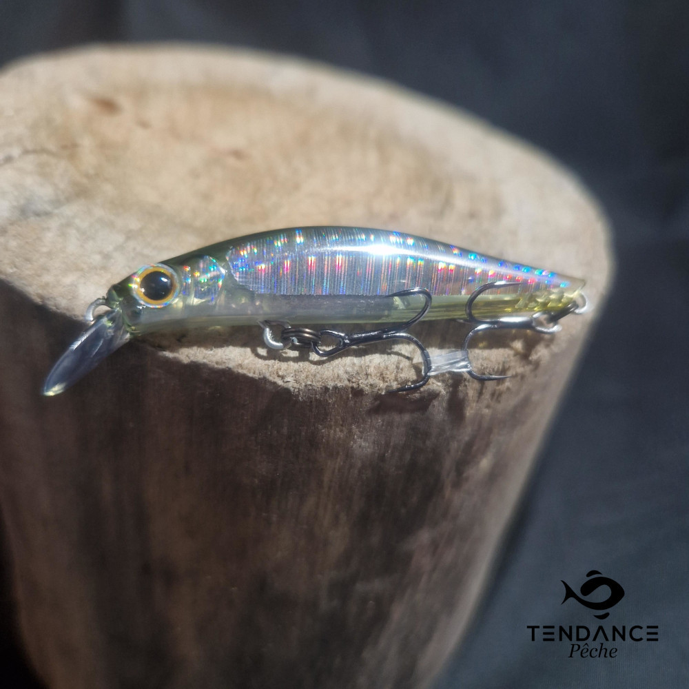 Artist F55 - Jackson - Sss