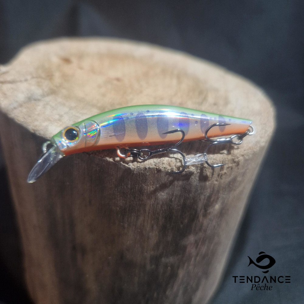 Artist F55 - Jackson - Lymk