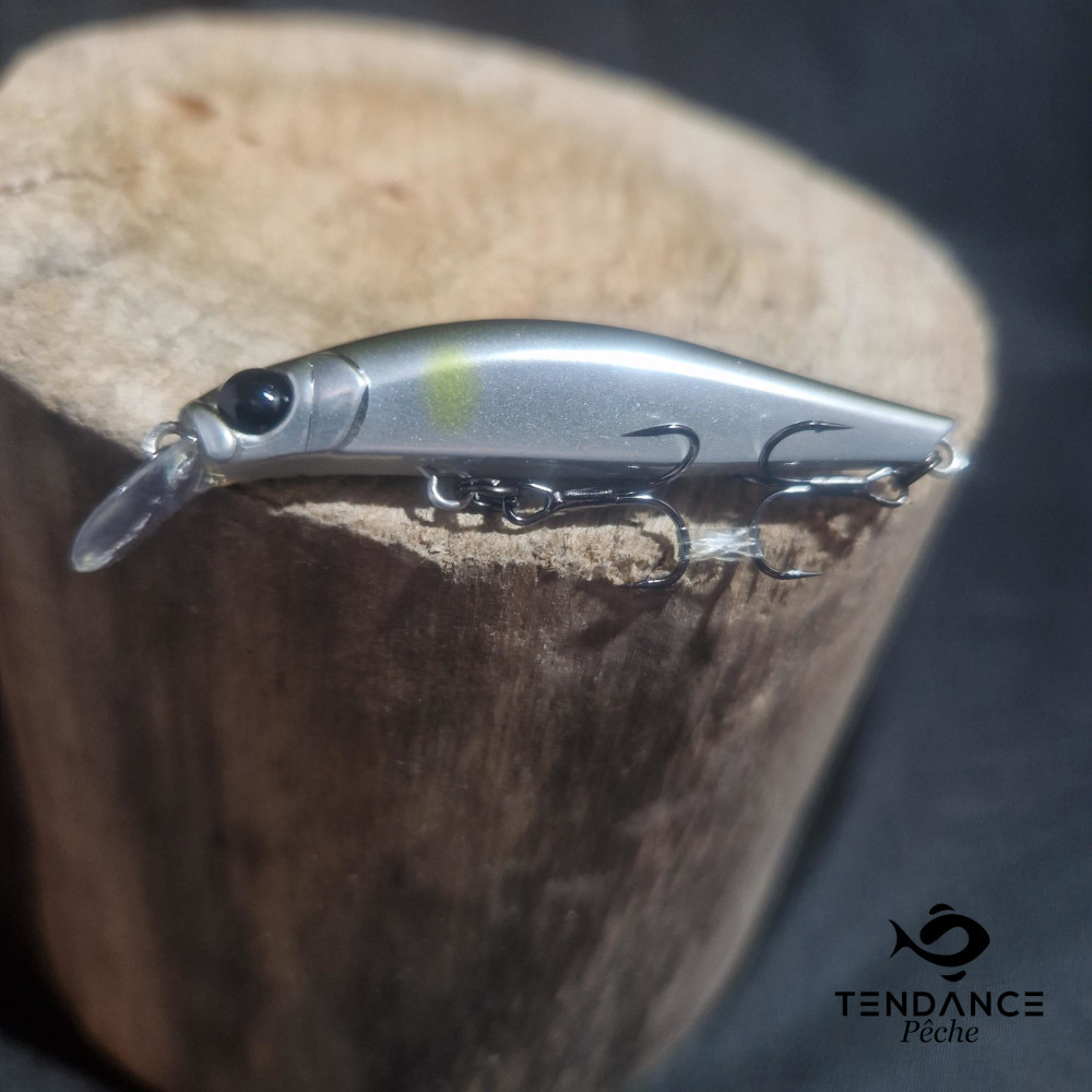 Artist F55 - JACKSON - NAY