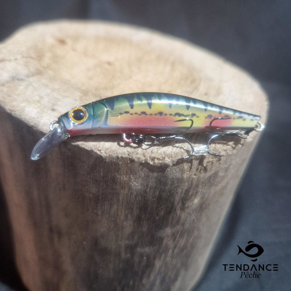 Artist F55 - Jackson - Vairon Nuptial