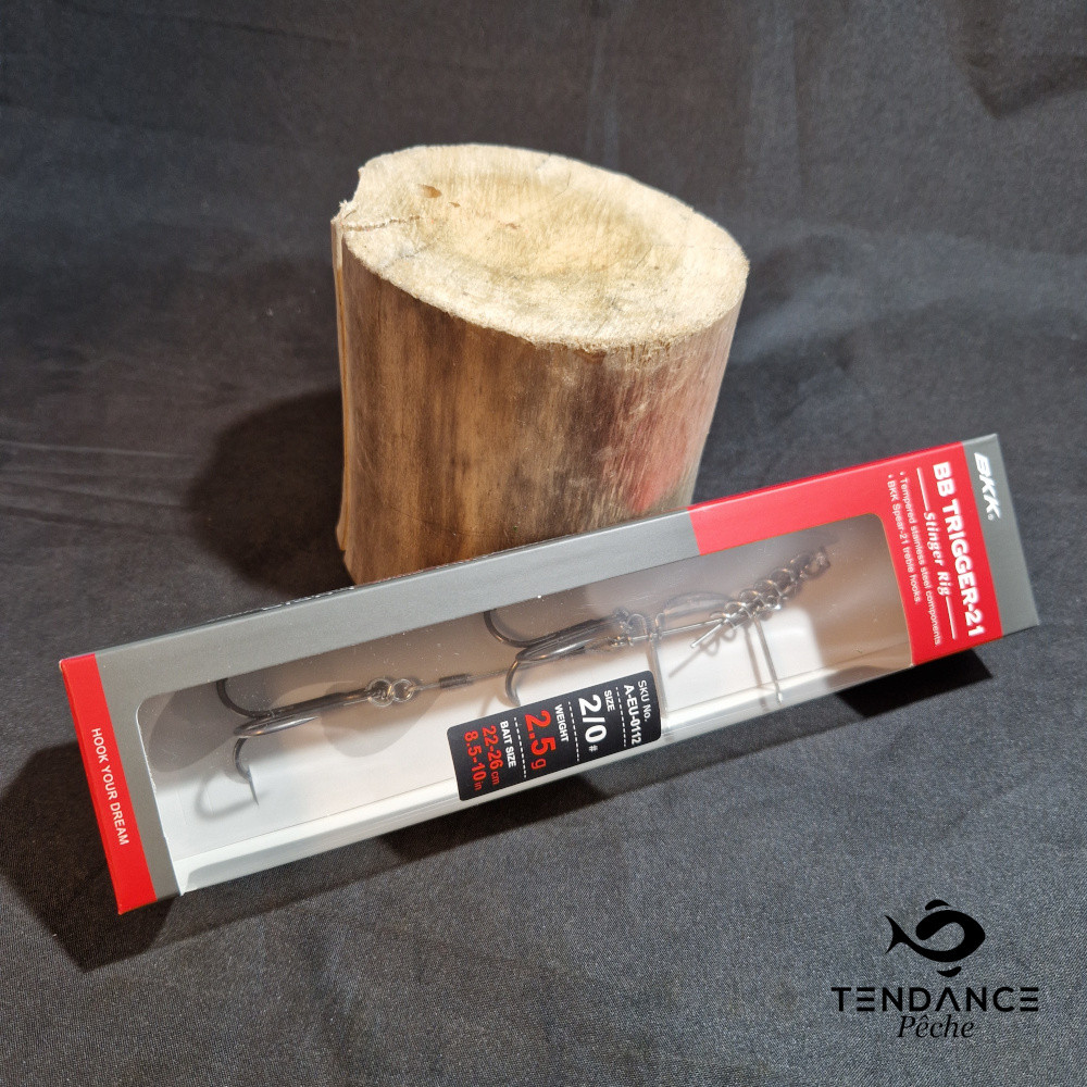 Bkk Bb Trigger-21 Stinger Rig - Bkk - Leurre 22 - 26Cm 2.5Gr H°2/0