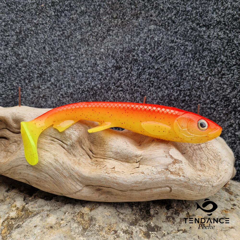 Wolfcreek 24 Cm Edition Limitée - Tendance Nautic - Tequila Sun