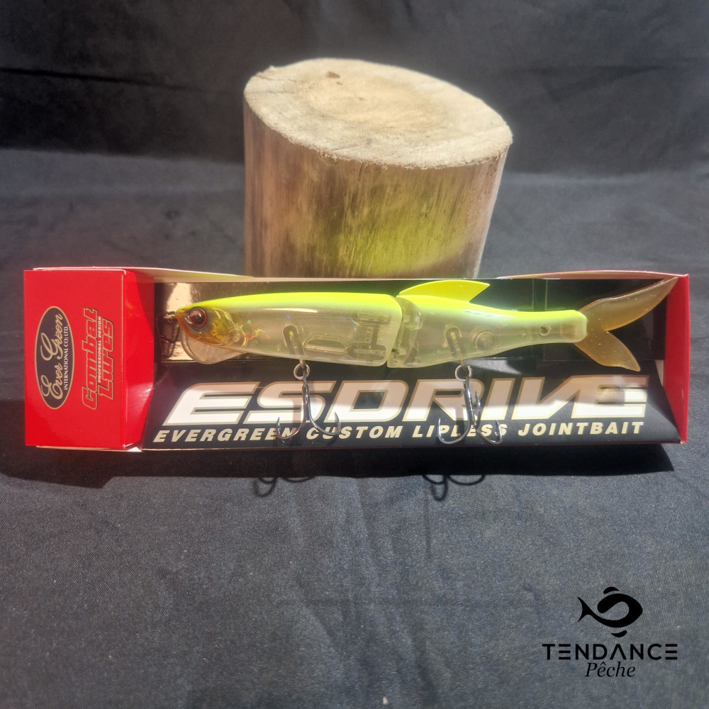 ES DRIVE - EVERGREEN - skeleton chart 