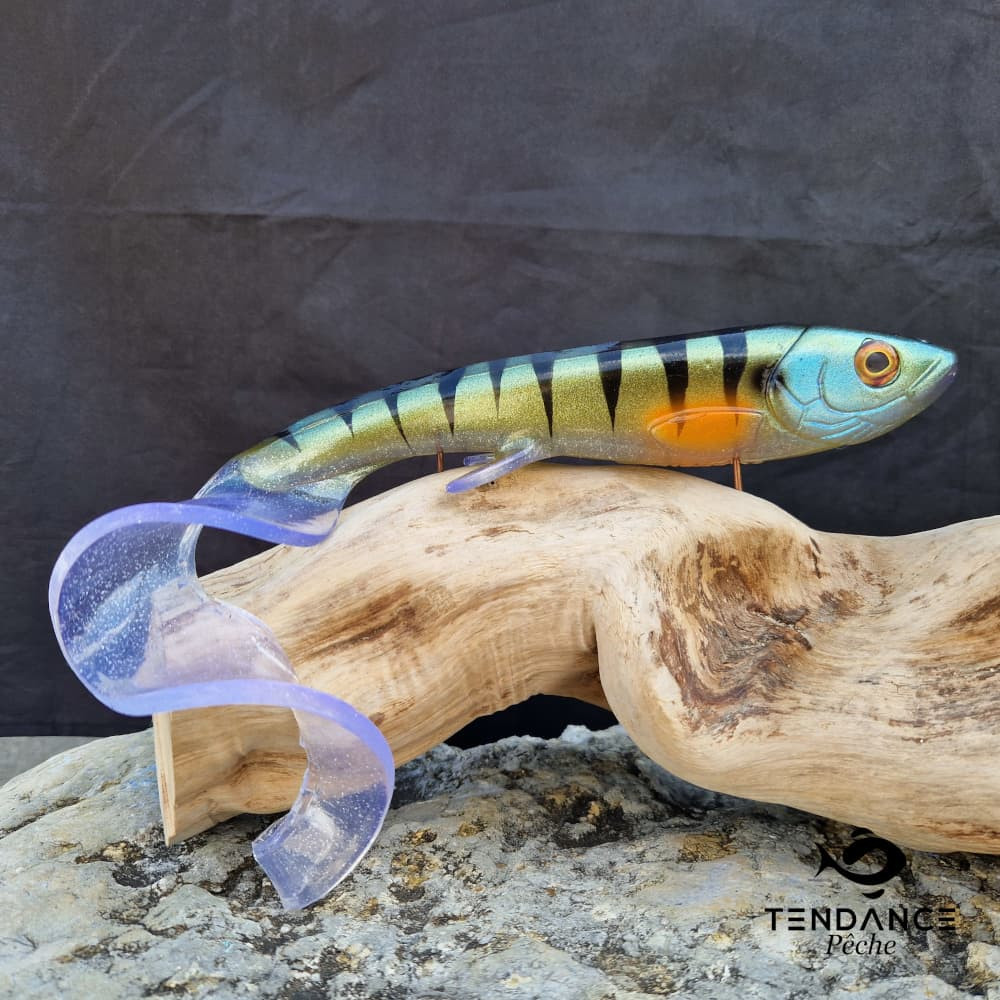 Wolfcreek Curly Edition Limitée - Tendance Nautic - Tiger Perch 