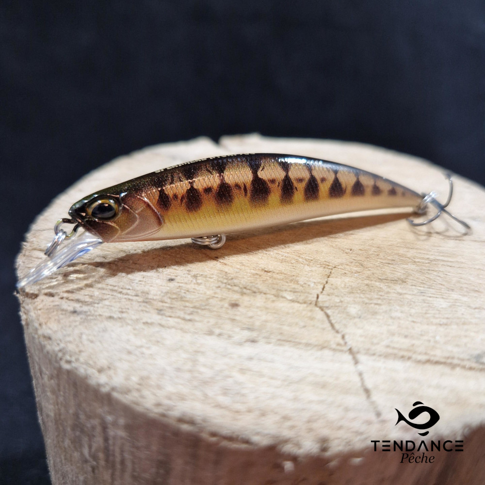 Ryuki Spearhead 70S - Duo - Vairon Uv