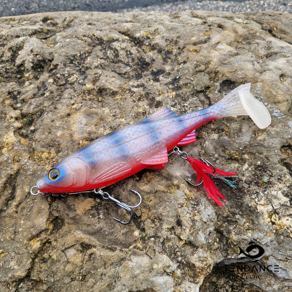 KAPSIZ 9" SWIMMER RED BLUE GILL - TENDANCE NAUTIC / BIWAA