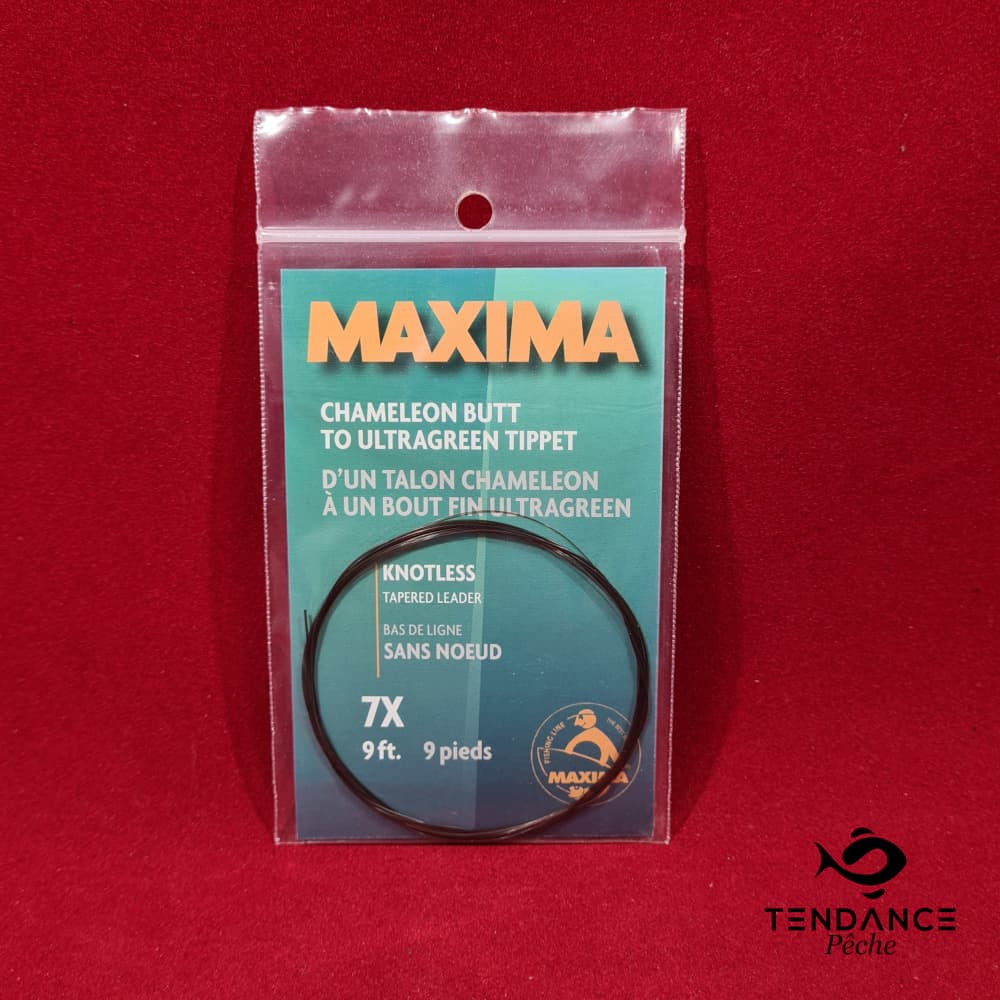 Bas de ligne - Maxima