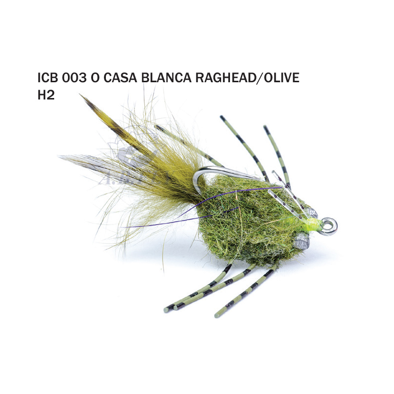 Casa Blanca Raghead H2 - OLIVE (Olive) - RAINY'S