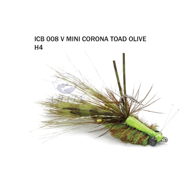 Mini Corona Toad Olive H4 - Olive - Rainy's