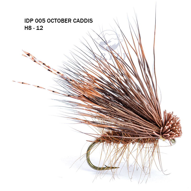 October Caddis H12 - BROWN (Marron) - RAINY'S