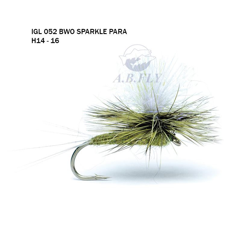 Bwo Sparkle Para H14 - OLIVE (Olive) - RAINY'S