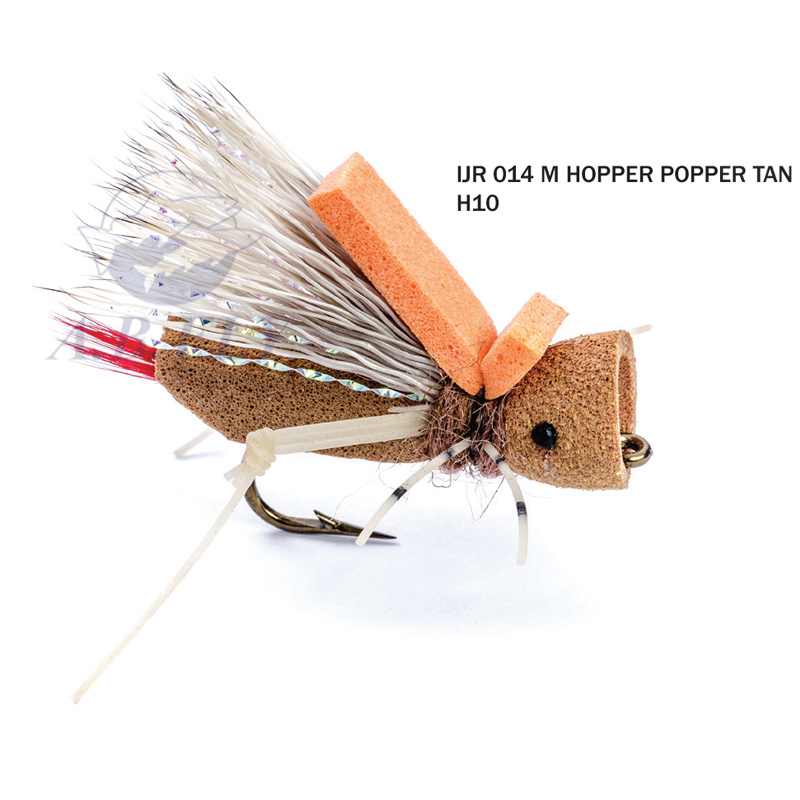Hopper Popper Cinnamon H10 - CINNAMON (Cannelle) - RAINY'S