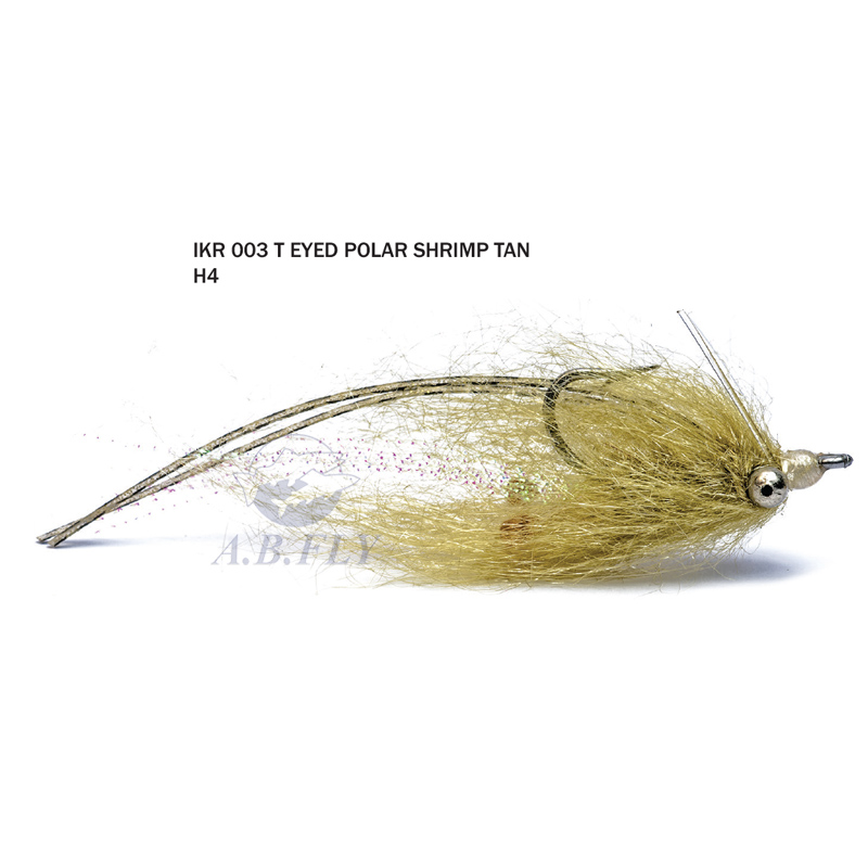 Eyed Polar Shrimp H4 - NATURAL (Naturel) - RAINY'S
