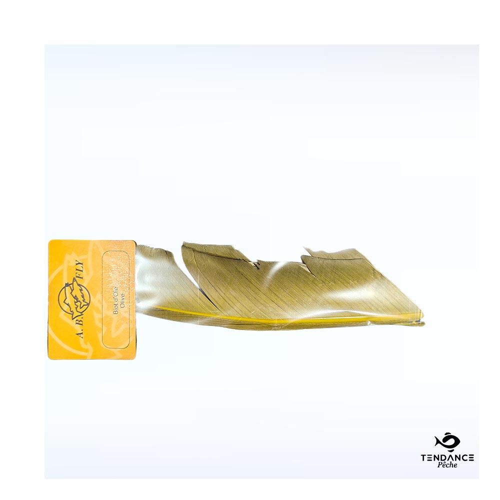Biot d'Oie - Olive - AB Fly