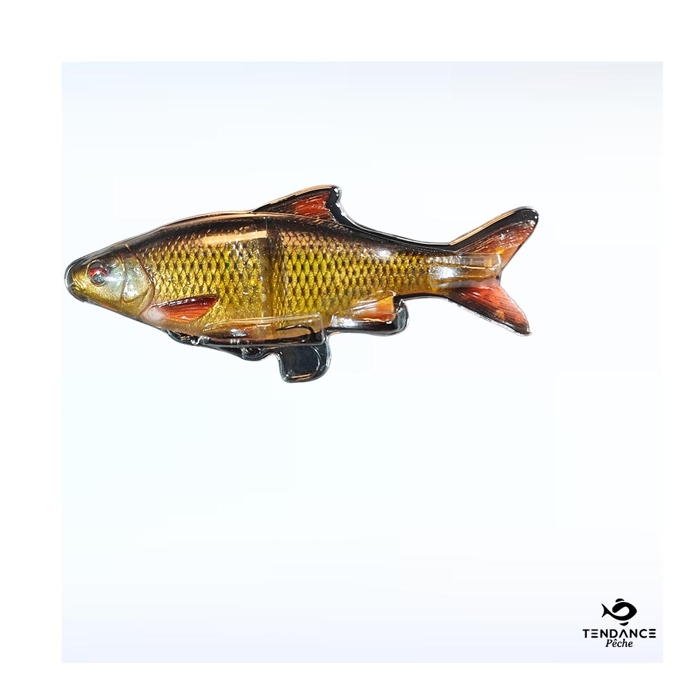 Leurre Dur 3D Glide Roach 17Cm/78G – Cl Rudd