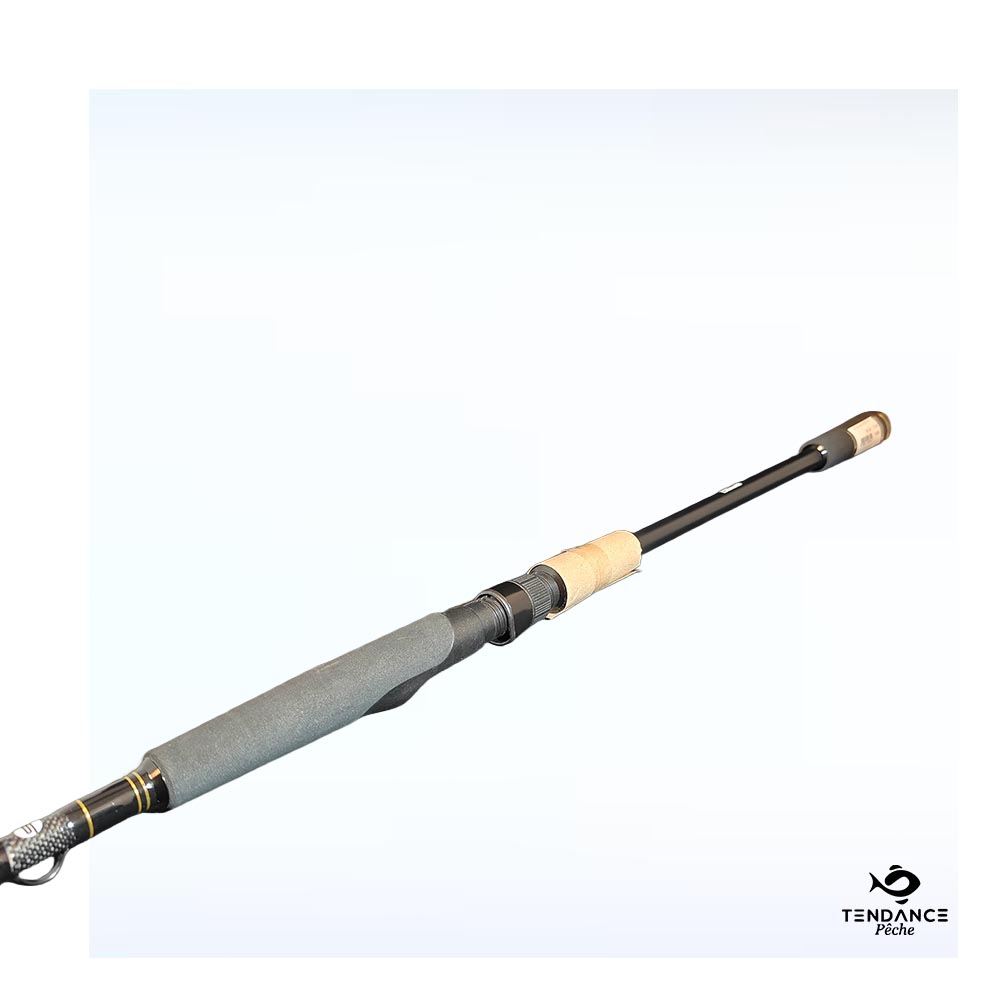 Canne Big Lure Spin – 2.20m / 40-120g - SPRO