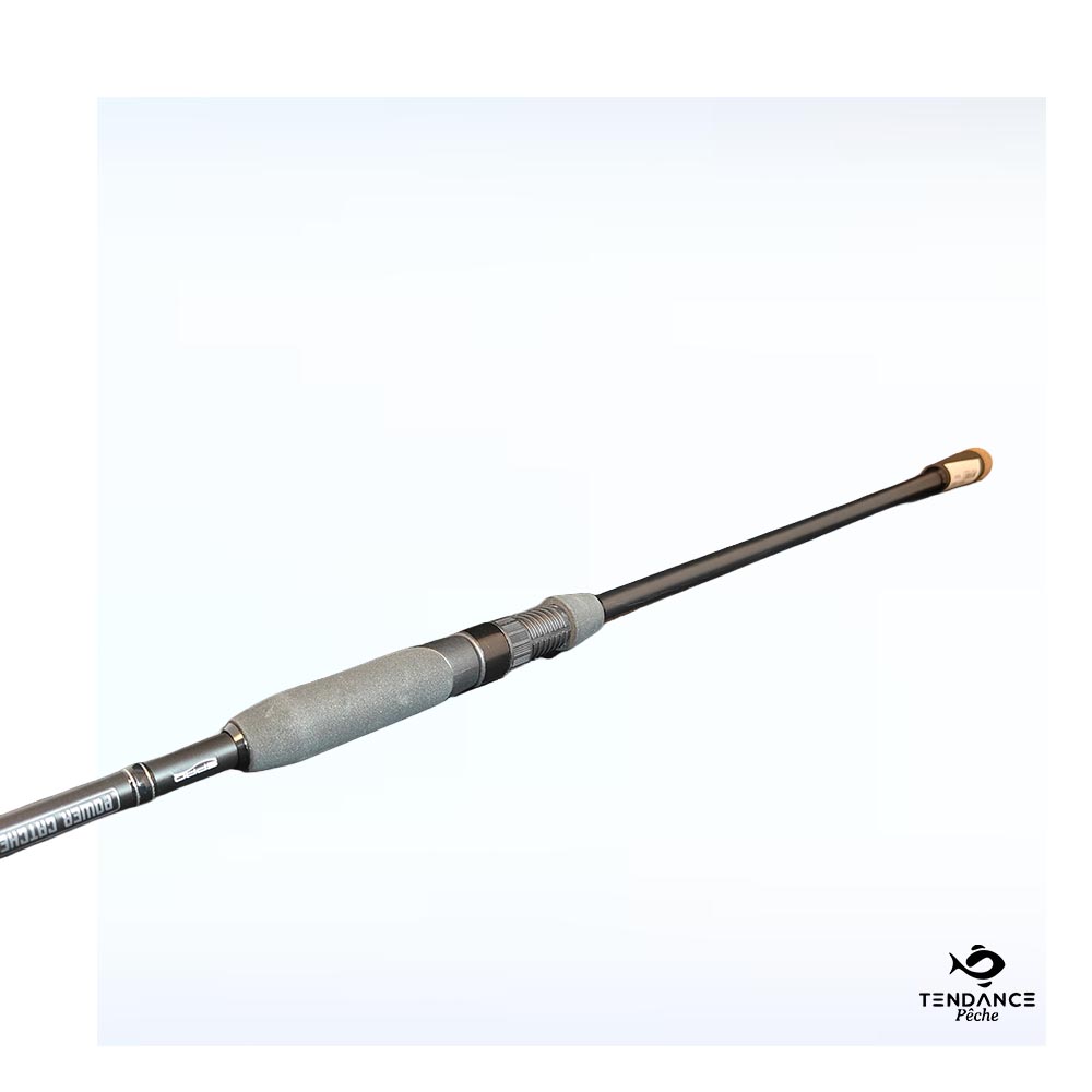 Canne Go – 2.70M / 40G - Spro