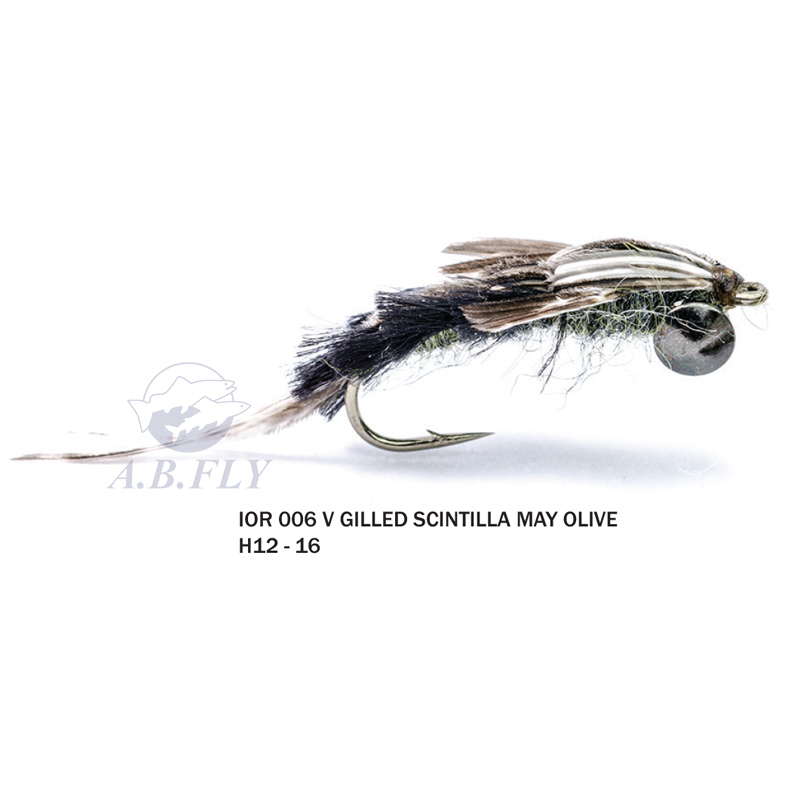 Gilled Scintilla May H12 - OLIVE (Olive) - RAINY'S