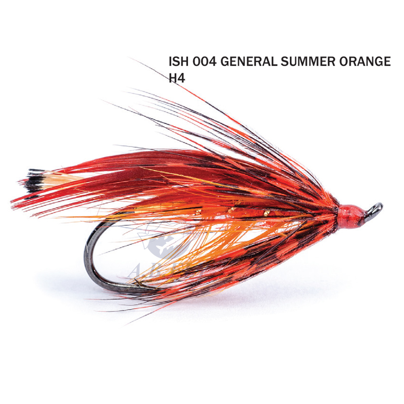 General Summer Orange H4 - ORANGE (Orange) - RAINY'S