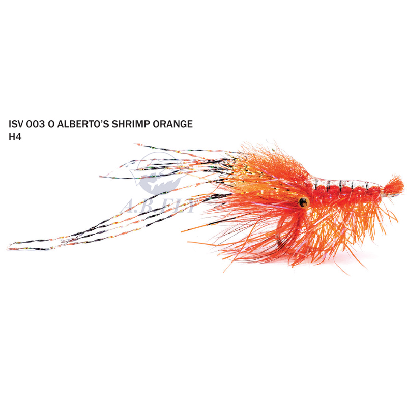 Alberto's Shrimp Orange H4 - Orange - Rainy's