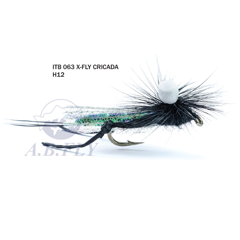 X-Fly Cicada H12 - BLACK/GREEN (Noir / Vert) - RAINY'S