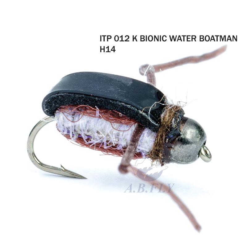 Bionic Water Boatman H14 - BLACK/CORIXA (Noir/Corise) - RAINY'S