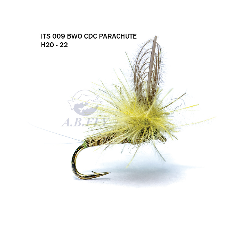 Bwo CDC Parachute H22 - OLIVE (Olive) - RAINY'S