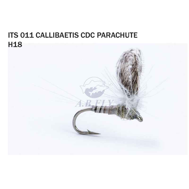 Callibaetis CDC Parachute H18 - CALLIBAETIS (Callibaetis / Gris-Brun) - RAINY'S