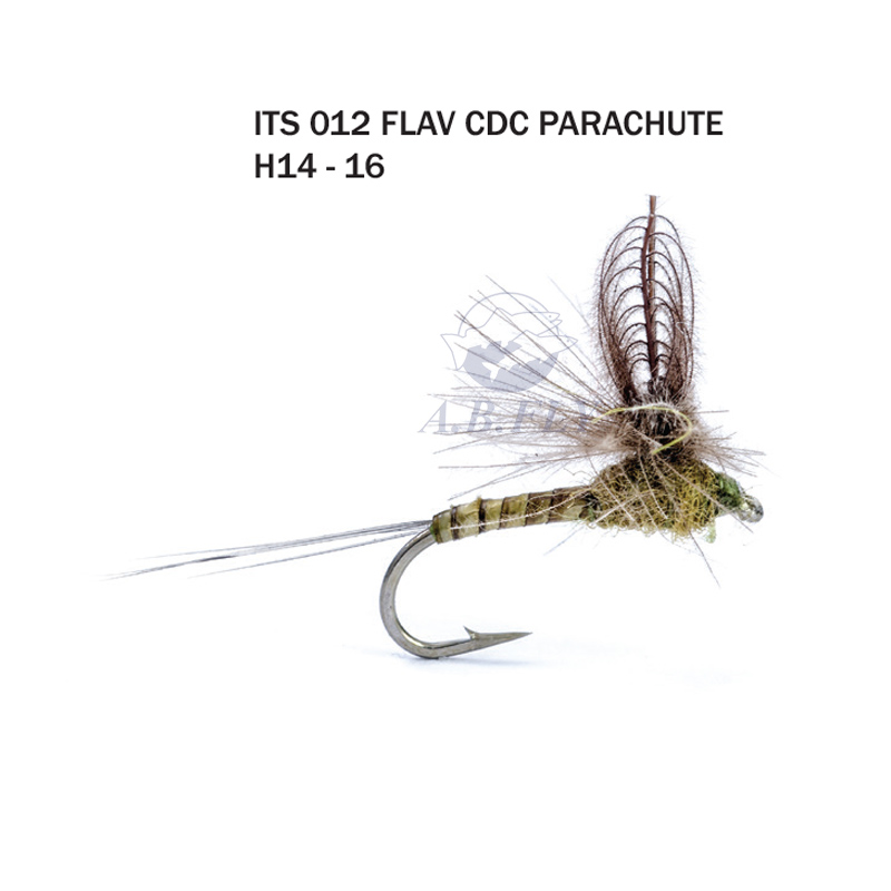 Flav CDC Parachute H16 - FLAV (Flav / Olive Brun) - RAINY'S