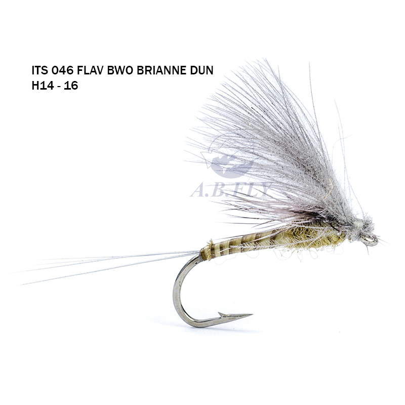 Flav/Bwo Brianne Dun H14 - FLAV/BWO (Olive / Olive Brun) - RAINY'S