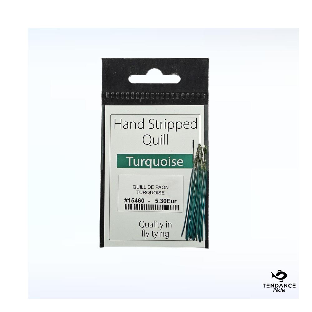 Quill de paon - Quill and Fly - Turquoise